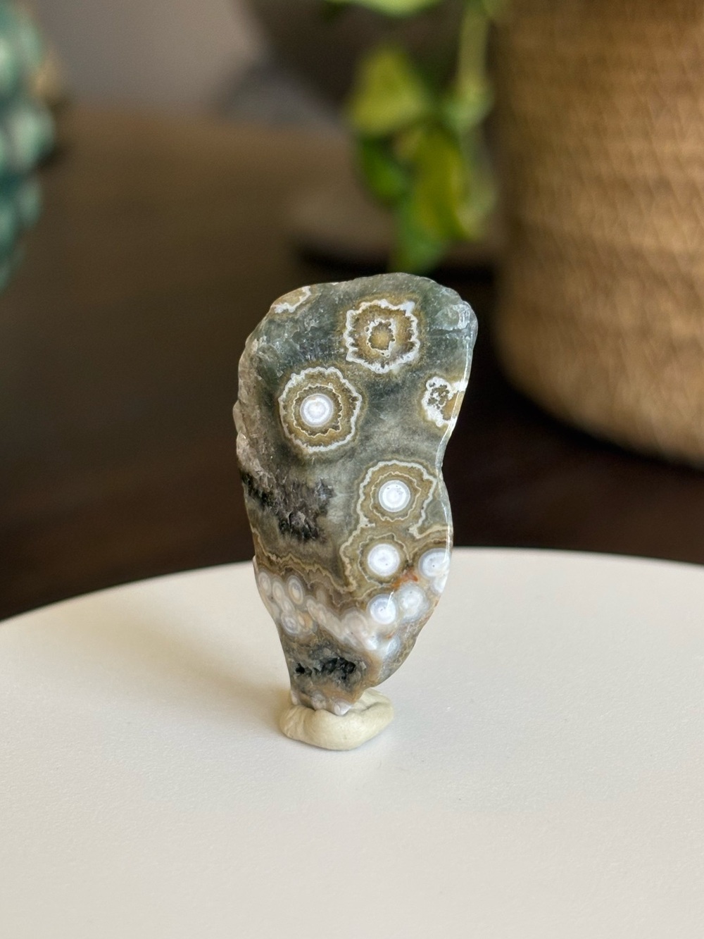 Ocean Jasper Crystal Set - Polished Sea Jasper Bundle - Orbicular Jasper - Picture 13 of 17
